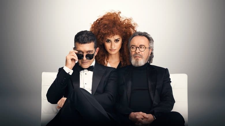 Resmi Yarışma